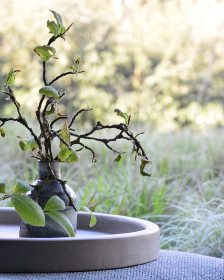 Table Tray