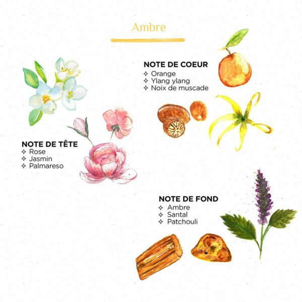 DIFFUSEUR Ambre - Afbeelding 2