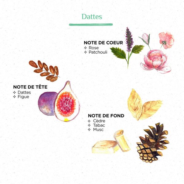 RAPHIA RADIA Dates - Afbeelding 2